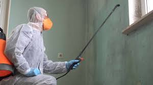 Best Mold Remediation for Healthcare Facilities  in Wildwood Lake, TN